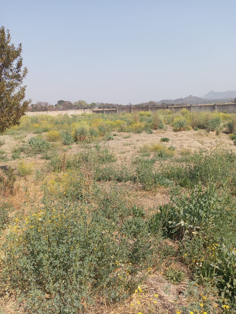 0 Bedroom Property for Sale in Brits North West